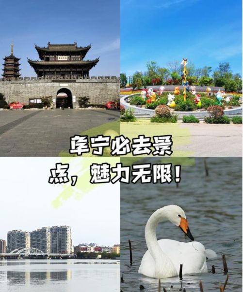 阜宁必去景点，魅力无限！ 1