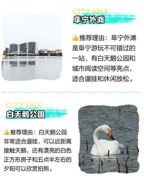 阜宁必去景点，魅力无限！ 3