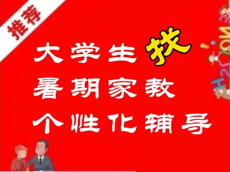 阜宁大学生暑期找补习一对一补课辅导教学上门全县学霸可拼班拼课补课辅导家庭补习书写监督作业陪读假期陪学到家一对一辅导 1