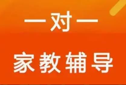 阜宁大学生暑期找补习一对一补课辅导教学上门全县学霸可拼班拼课补课辅导家庭补习书写监督作业陪读假期陪学到家一对一辅导 3